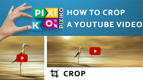 Crop youtube video. Things To Know About Crop youtube video. 